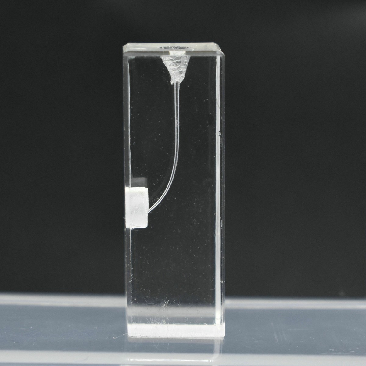 Endo Block RCT Practice Block