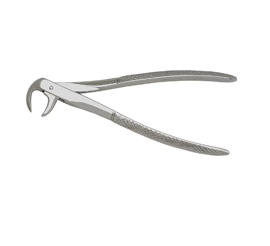 Lower Molar Extraction Forcep