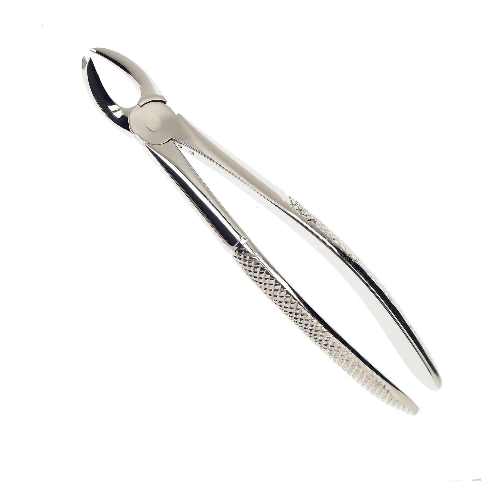 Cow Horn Forcep (Upper)